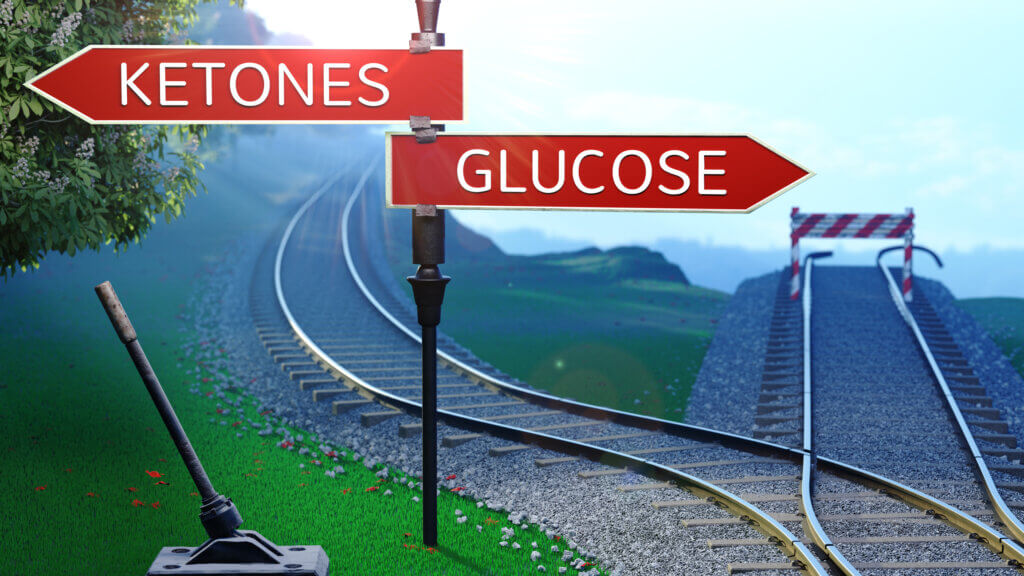 Ketone Glucose Ketose Keto Diaet